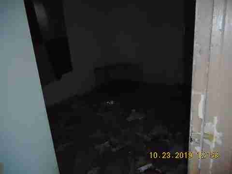 11377 Penrod (9)_m.jpg